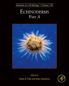 Cover Echinoderms (eBook, ePUB)