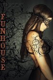 Funhouse (eBook, ePUB) Funhouse (eBook, ePUB)