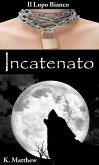 Incatenato (Il Lupo Bianco) (eBook, ePUB)