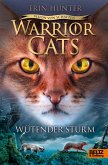 Wütender Sturm / Warrior Cats Staffel 6 Bd.6