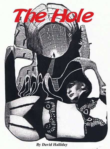 The Hole (The Cases of Detective Sam Kelly, #1) (eBook, ePUB) The Hole (The Cases of Detective Sam Kelly, #1) (eBook, ePUB)