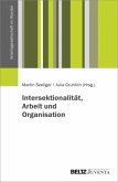 Intersektionalität, Arbeit und Organisation