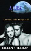 A Cura (Livro dois) (eBook, ePUB) A Cura (Livro dois) (eBook, ePUB)