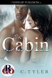 The Cabin (eBook, ePUB) - Bild 1