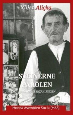 Steinerne Parolen (eBook, ePUB) - Aliçka, Ylljet