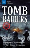 Tomb Raiders (eBook, PDF)