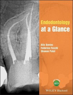 Endodontology at a Glance (eBook, PDF) - Davies, Alix; Foschi, Federico; Patel, Shanon