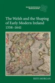 The Welsh and the Shaping of Early Modern Ireland, 1558-1641 (eBook, PDF)