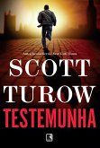 Testemunha (eBook, ePUB)