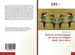 Richesse ornithologique du marais de Medjen djedj. Souk Ahras - Boukrouma, Nadhra