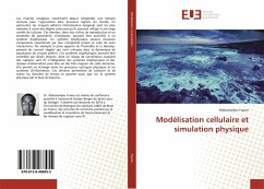 Modélisation cellulaire et simulation physique - Traore, Mahamadou