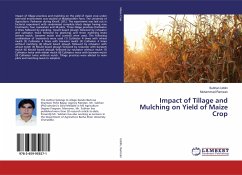Impact of Tillage and Mulching on Yield of Maize Crop