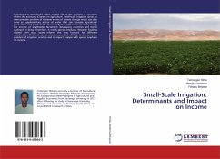 Small-Scale Irrigation: Determinants and Impact on Income