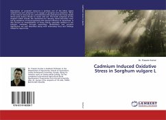 Cadmium Induced Oxidative Stress in Sorghum vulgare L - Kumar, Prasann