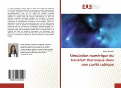 Simulation numérique du transfert thermique dans une cavité cubique - Souayeh, Basma