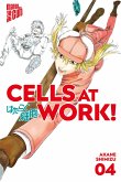 Cells at Work! Bd.4