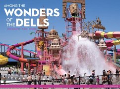 Among the Wonders of the Dells: Photography, Place, Tourism - Friedman, Tyler