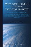 What Does Risk Mean in This New &quote;Risky Space Business&quote;?