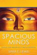 Spacious Minds - Bild 1