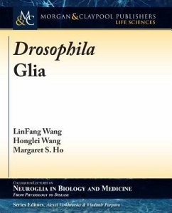 Drosophila Glia - Wang, Linfang; Wang, Honglei; Ho, Margaret S.
