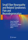 Small Fiber Neuropathy and Related Syndromes: Pain and Neurodegeneration (eBook, PDF)
