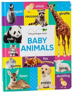 Baby Animals (Large Padded Board Book) - Little Grasshopper Books; Publications International Ltd