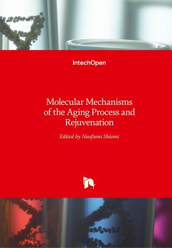 Molecular Mechanisms of the Aging Process and Rejuvenation