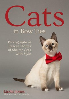 Cats in Bow Ties - Jones, Lindsi