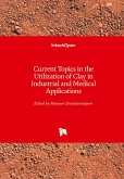 Current Topics in the Utilization of Clay in Industrial and Medical Applications