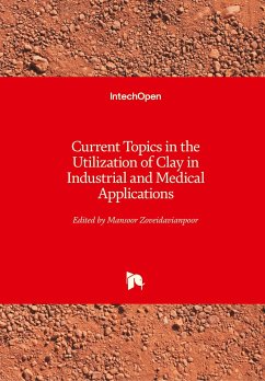 Current Topics in the Utilization of Clay in Industrial and Medical Applications