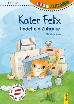 LESEZUG/1. Klasse: Kater Felix findet ein Zuhause - Auer, Christine