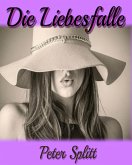 Die Liebesfalle (eBook, ePUB)