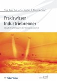 Praxiswissen Industriebrenner (eBook, PDF)