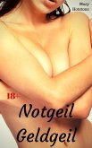 Notgeil Geldgeil (eBook, ePUB)