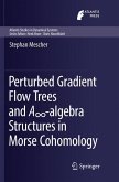 Perturbed Gradient Flow Trees and A¿-algebra Structures in Morse Cohomology