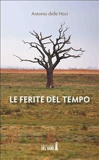 Le ferite del tempo (eBook, ePUB) - delle Noci, Antonio