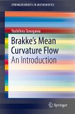 Brakke's Mean Curvature Flow (eBook, PDF)