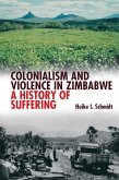 Colonialism and Violence in Zimbabwe (eBook, PDF)