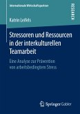 Stressoren und Ressourcen in der interkulturellen Teamarbeit (eBook, PDF)