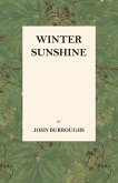 Winter Sunshine (eBook, ePUB)
