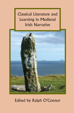Cover Classical Literature and Learning in Medieval Irish Narrative (eBook, PDF)