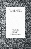 Walking (eBook, ePUB)