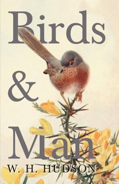 Birds and Man (eBook, ePUB) - Hudson, William Henry