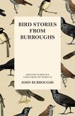 Bird Stories from Burroughs - Sketches of Bird Life Taken from the Works of John Burroughs (eBook, ePUB)