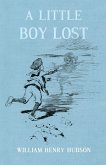 A Little Boy Lost (eBook, ePUB)