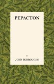 Pepacton (eBook, ePUB)