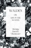 Walden (eBook, ePUB)