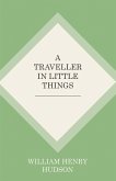 A Traveller in Little Things (eBook, ePUB)
