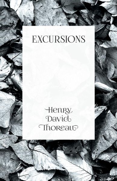 Excursions (eBook, ePUB)