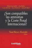 ¿Son compatibles las amnistías y la Corte Penal Internacional? (eBook, ePUB)